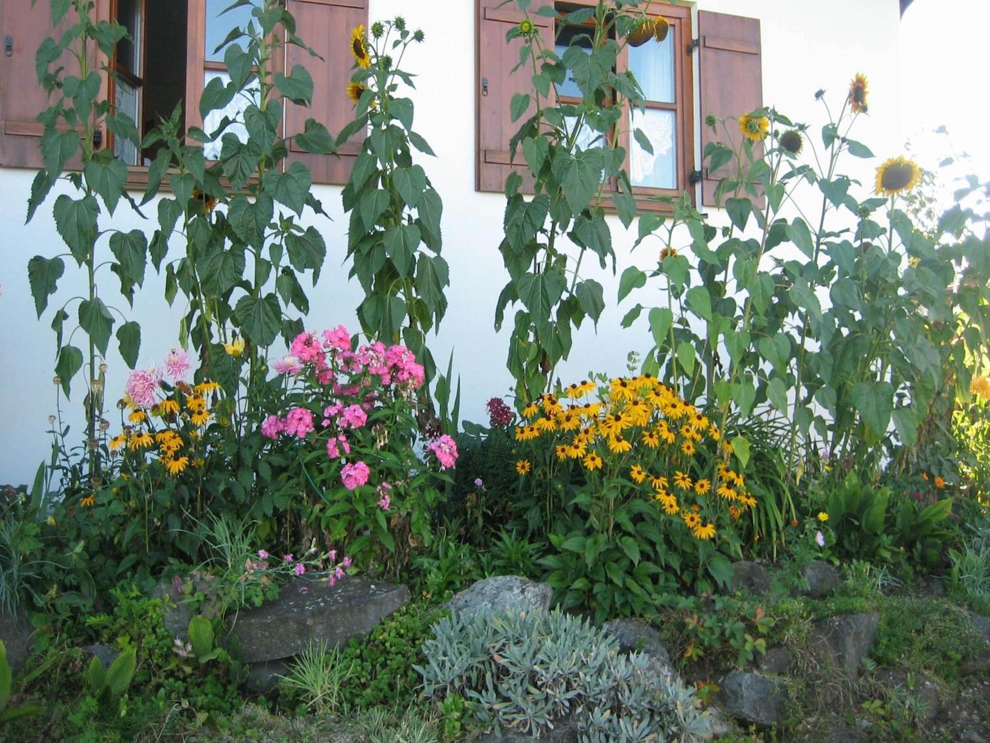 Apartment In The Allg U With View Of The Bavarian Alps Bernbeuren Eksteriør billede