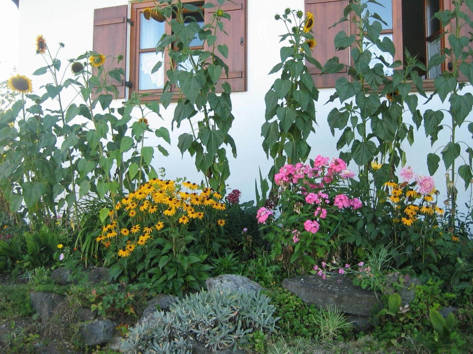 Apartment In The Allg U With View Of The Bavarian Alps Bernbeuren Eksteriør billede